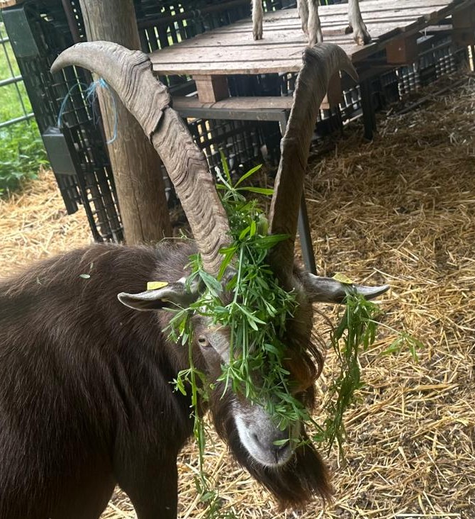 WhatsApp Image 2025-10-19 at 11.17.29